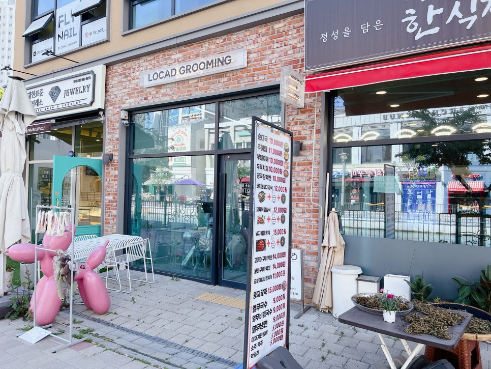 김포 푸들 미용 스타일, 토이푸들 짧은 커트 비용 및 후기 — 사진 9