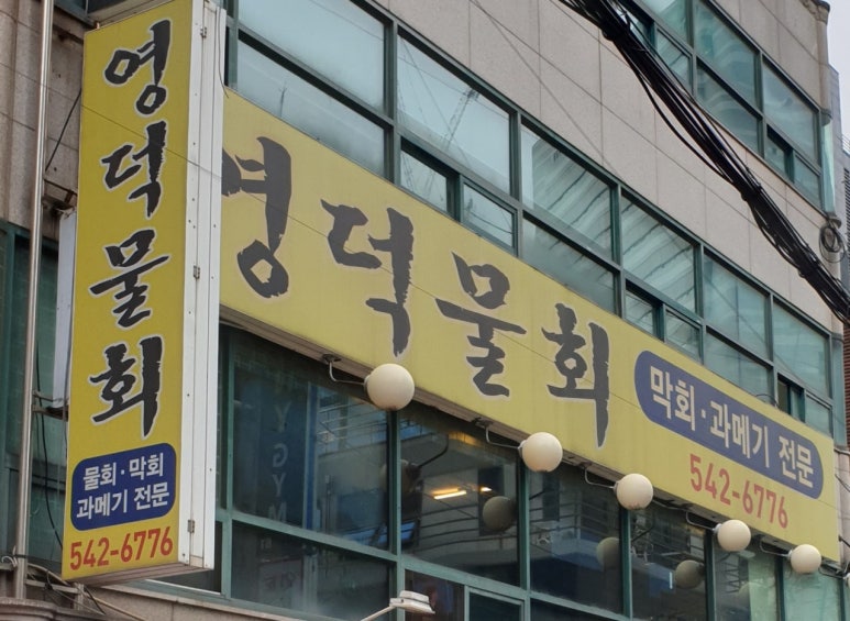 영덕물회 사진 5