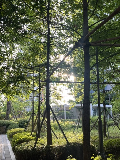 시골남자파스타 사진 5