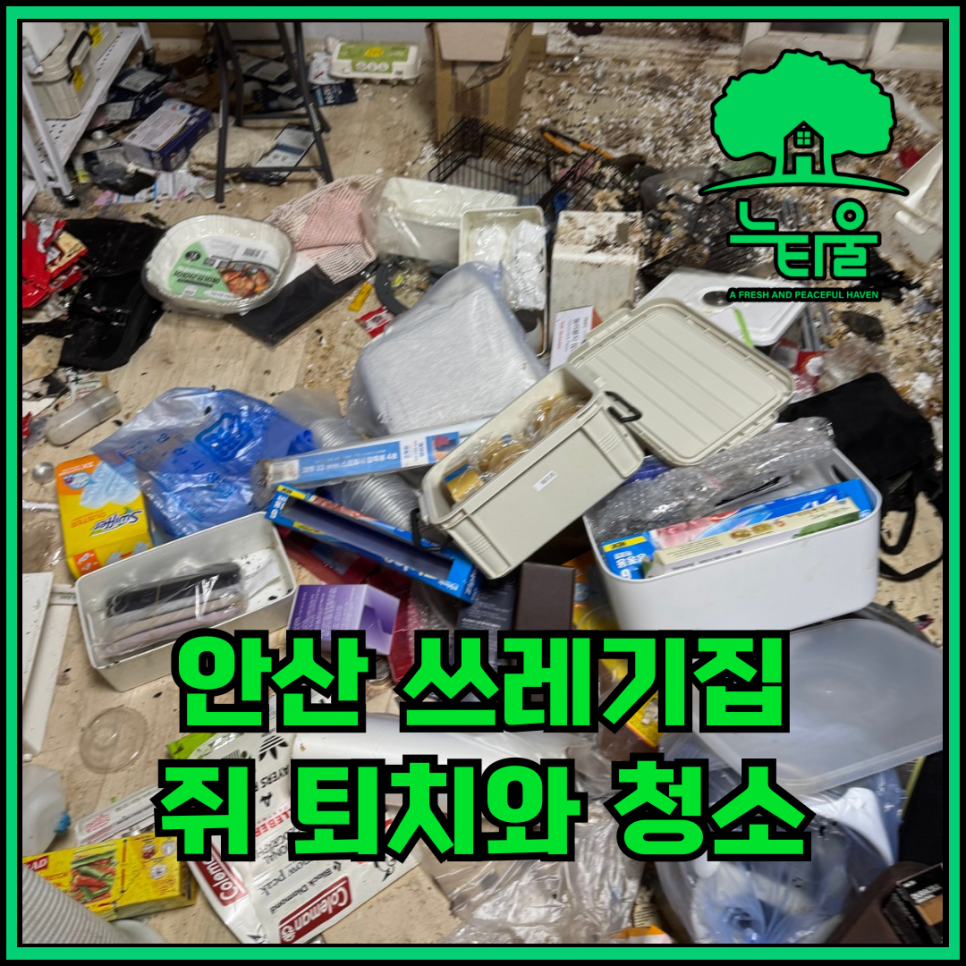 안산쓰레기집청소 쥐퇴치업체, 전후 과정 공유합니다