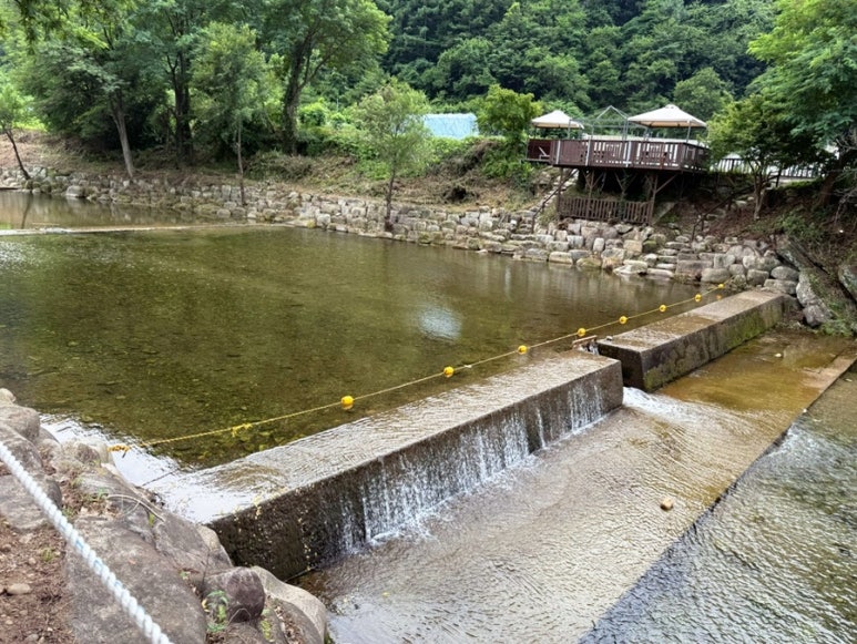 솔밭공원식당 이미지