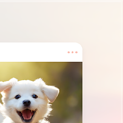 광주 강아지 미용학원, 비용부터 커리큘럼까지 완벽 분석 — 사진 7