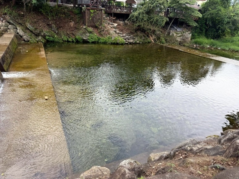 솔밭공원식당 이미지