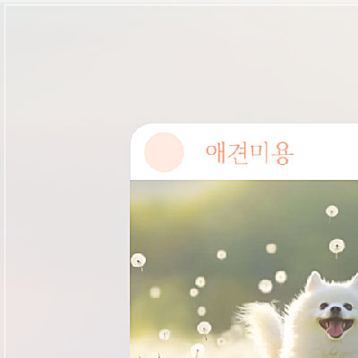 부산 강아지 미용학원 비용, 수강료 및 추천 정보 총정리 — 사진 10
