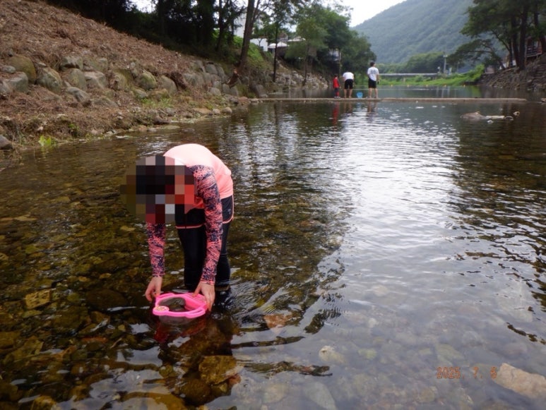 솔밭공원식당 이미지