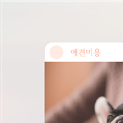 부산 강아지 미용학원 비용, 수강료 및 추천 정보 총정리 — 사진 6