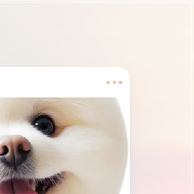 광주 강아지 미용학원, 비용부터 커리큘럼까지 완벽 분석 — 사진 11