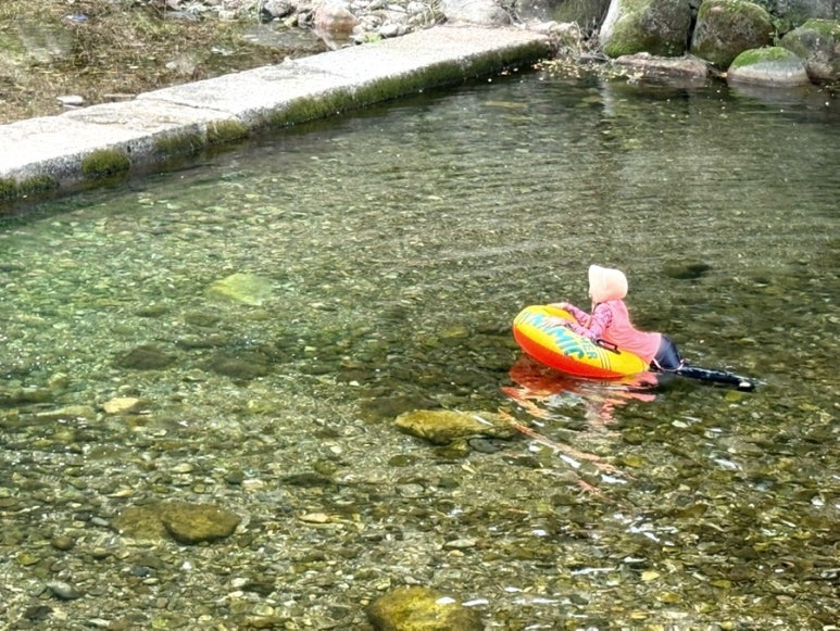 솔밭공원식당 이미지