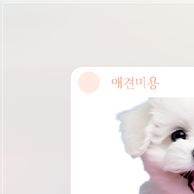광주 강아지 미용학원, 비용부터 커리큘럼까지 완벽 분석 — 사진 14
