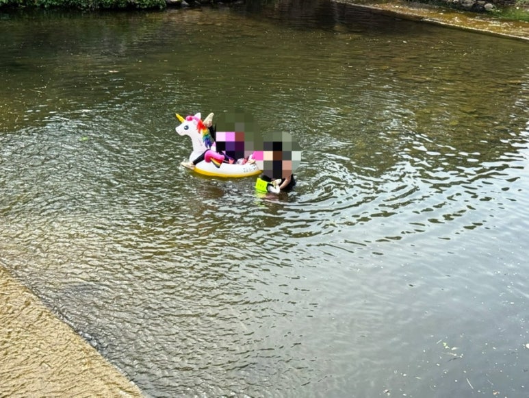 솔밭공원식당 이미지