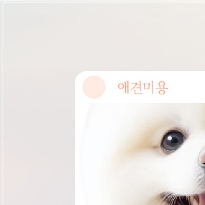 광주 강아지 미용학원, 비용부터 커리큘럼까지 완벽 분석 — 사진 10