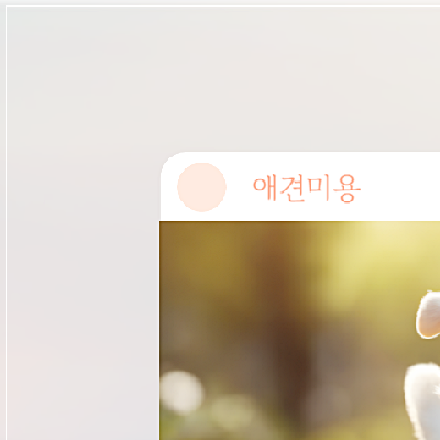 광주 강아지 미용학원, 비용부터 커리큘럼까지 완벽 분석 — 사진 6