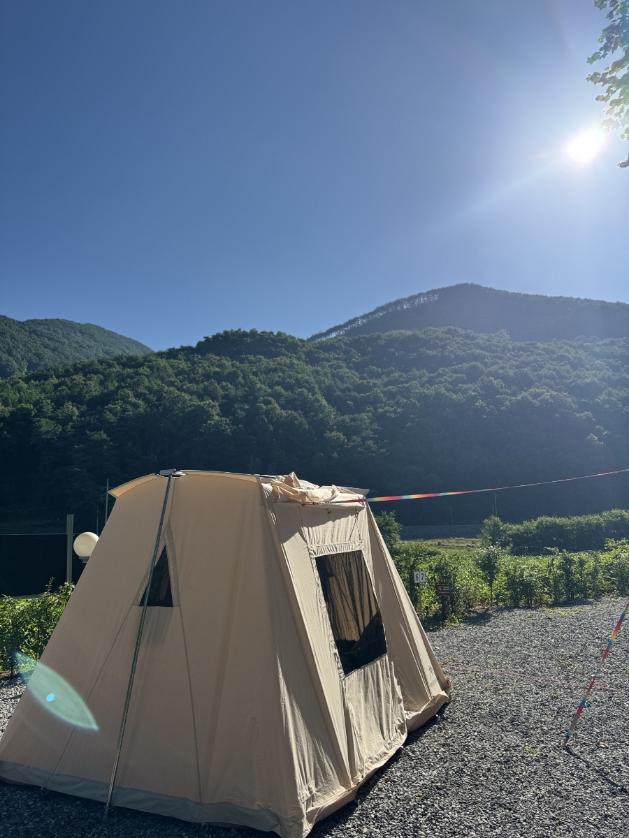 오손도손캠핑장 이미지