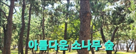 만리장성 사진 2