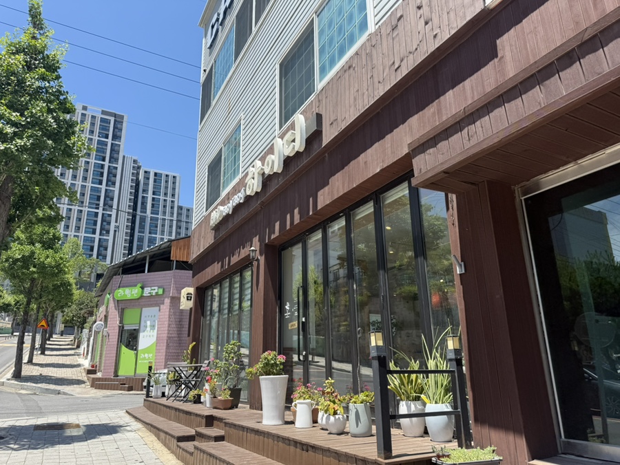 하이단양 하이디 이미지