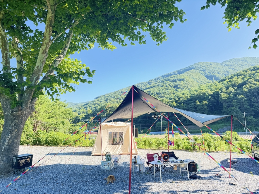 오손도손캠핑장 이미지