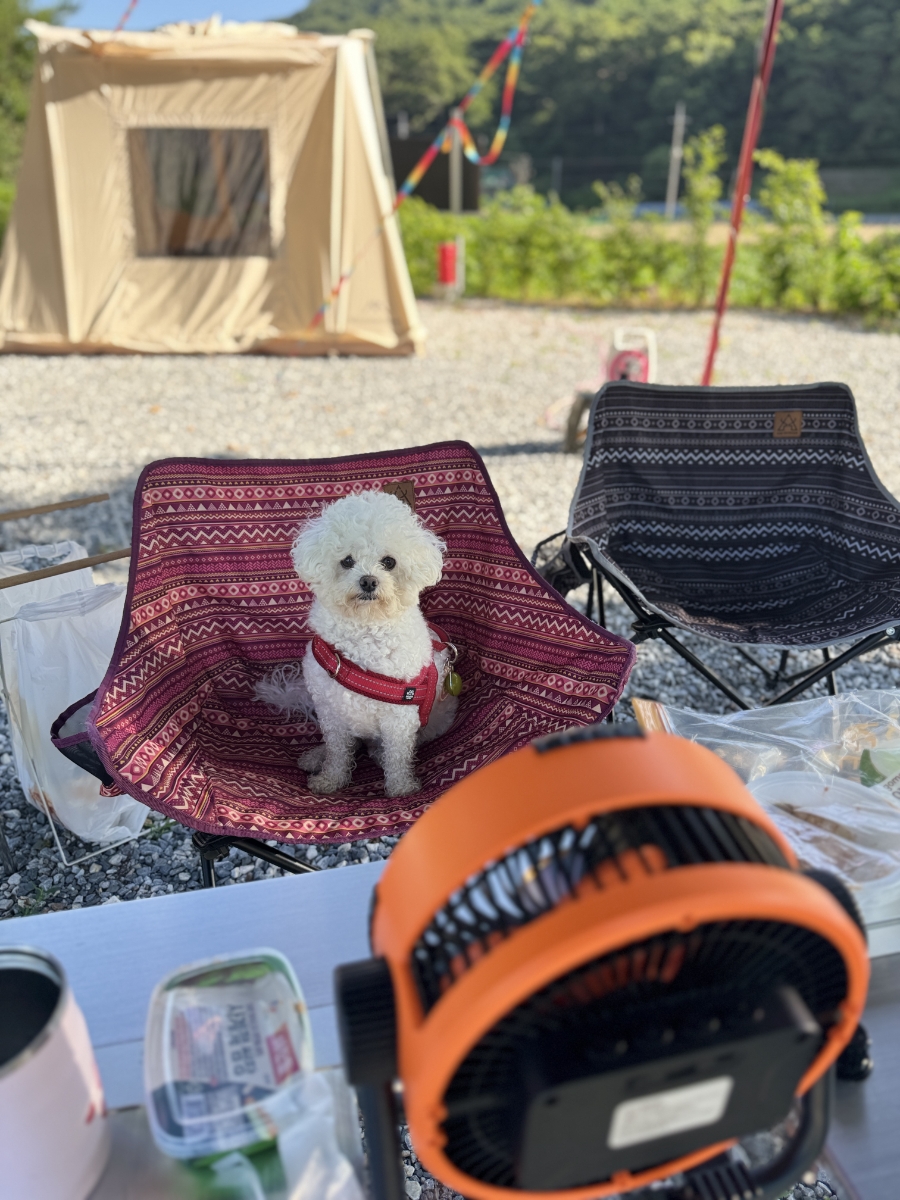 오손도손캠핑장 이미지