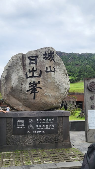 일출봉쑥빵보리빵오메기떡 사진 8