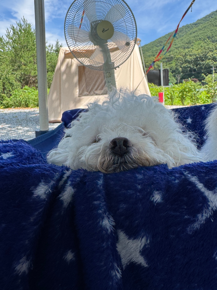 오손도손캠핑장 이미지