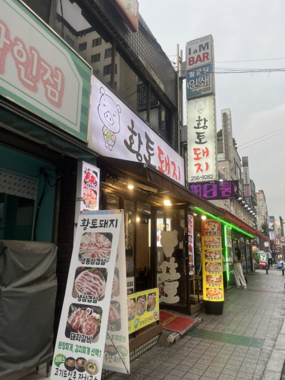 황토돼지 사진 3