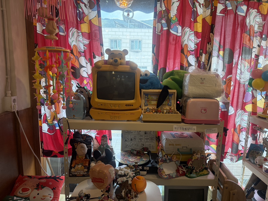 단양리즘 이미지