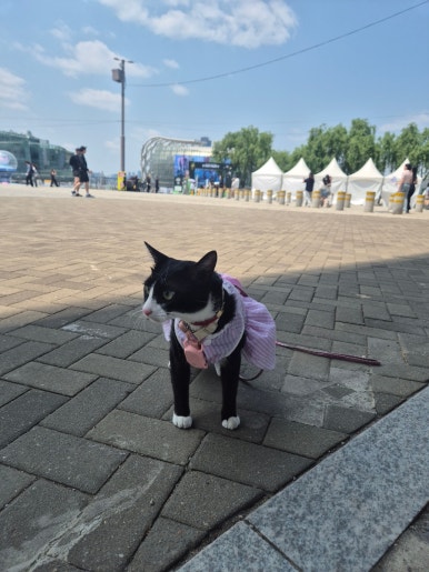 가마솥에푹끓인묵은지김치찜 마포점 사진 2