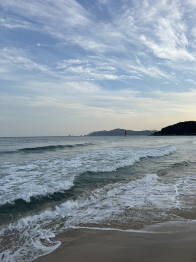 누리상회 이미지