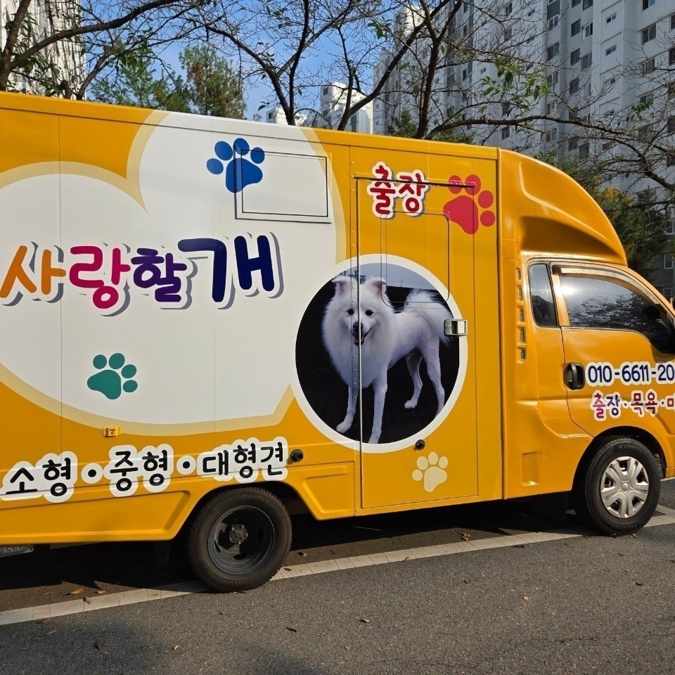 사랑할개 강아지 출장 미용 후기: 첫 미용 성공 비결