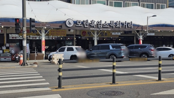 호남흑염소 사진 7