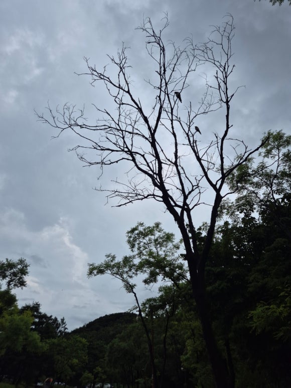 배스킨라빈스 신도림테크노마트점 사진 7