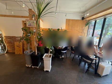 하이단양 하이디 이미지