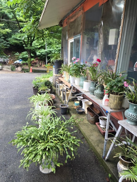 옛날촌집 이미지