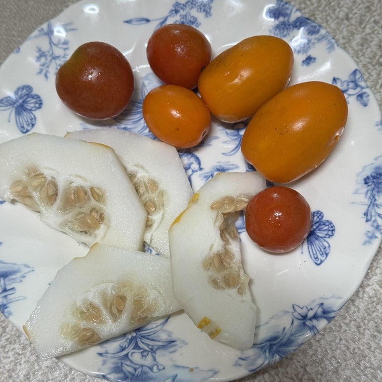 촌집마루 이미지