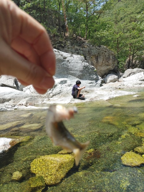 폭포숯불돼지갈비 이미지