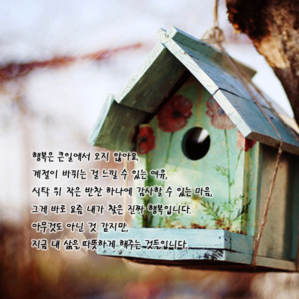 행복 좋은글, 오늘 당신에게 필요한 글귀 모음 : 네이버 블로그