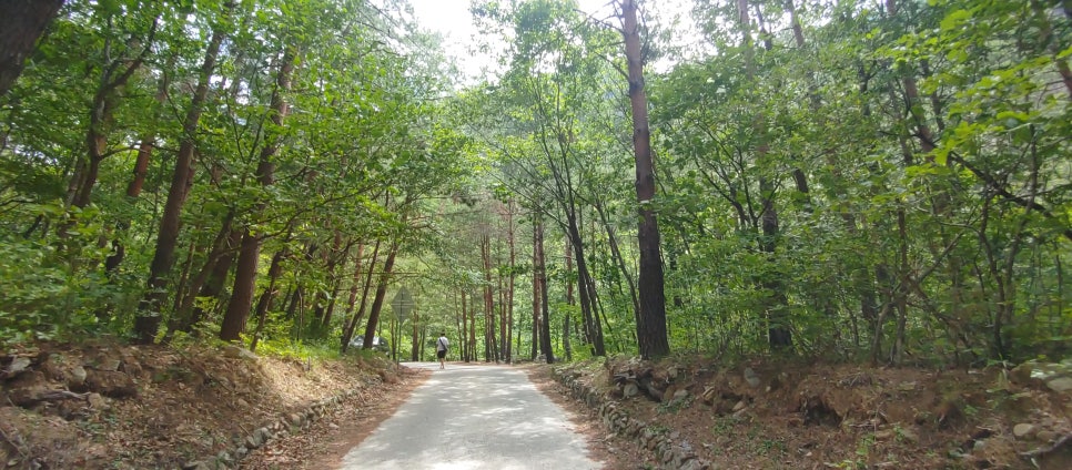 폭포숯불돼지갈비 이미지