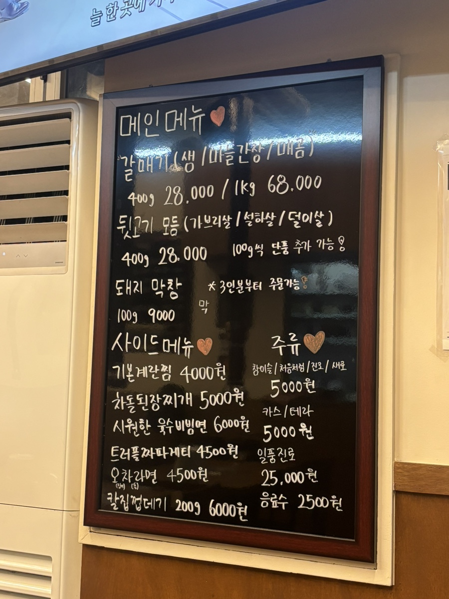 신갈매기 사진 3