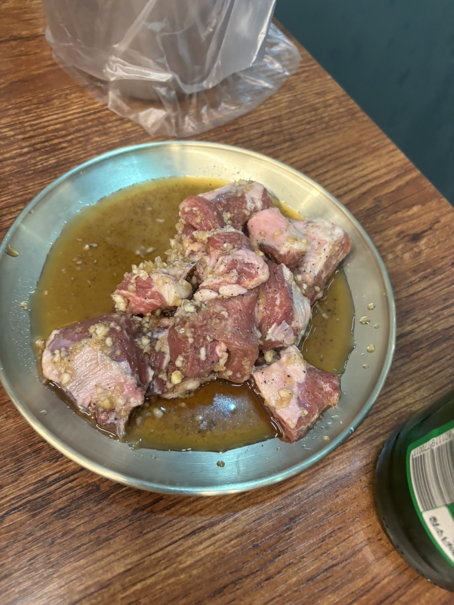 신갈매기 사진 4