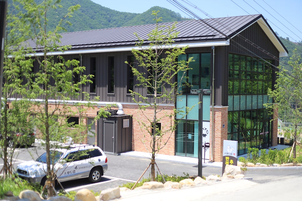 대구 강아지 장례, 믿을 수 있는 화장터 비용과 절차 총정리 — 사진 3
