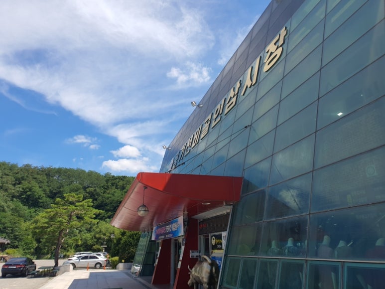 풍기선비골인삼시장 이미지