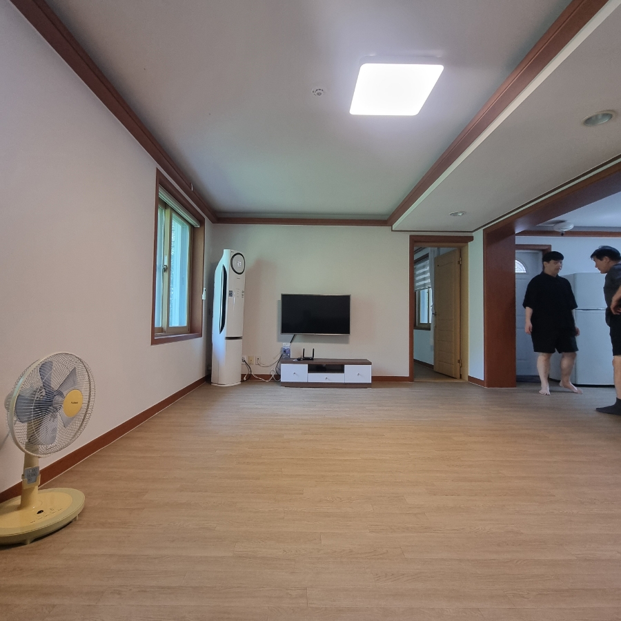 마로니에1970 이미지