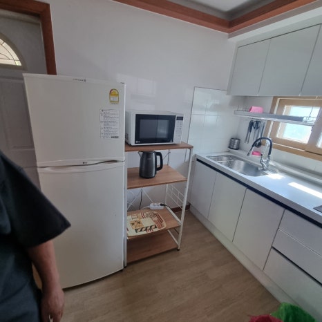 마로니에1970 이미지