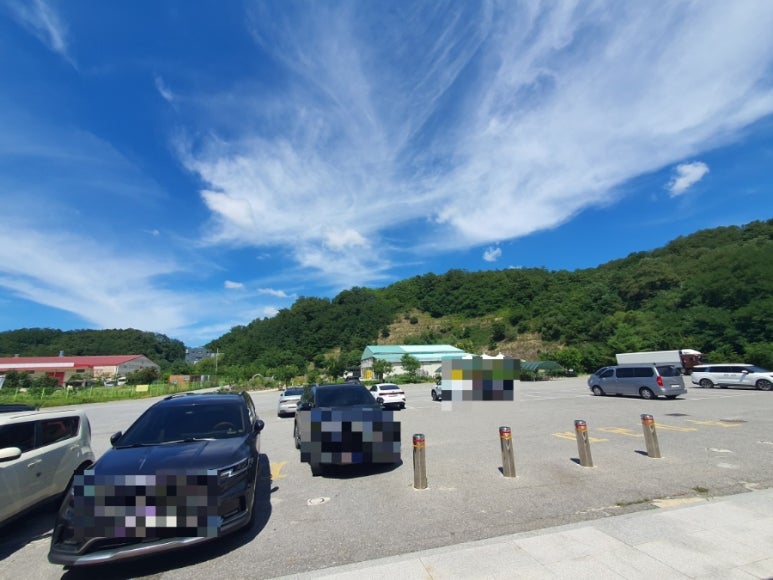 풍기선비골인삼시장 이미지