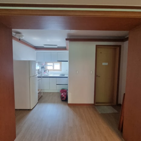 마로니에1970 이미지