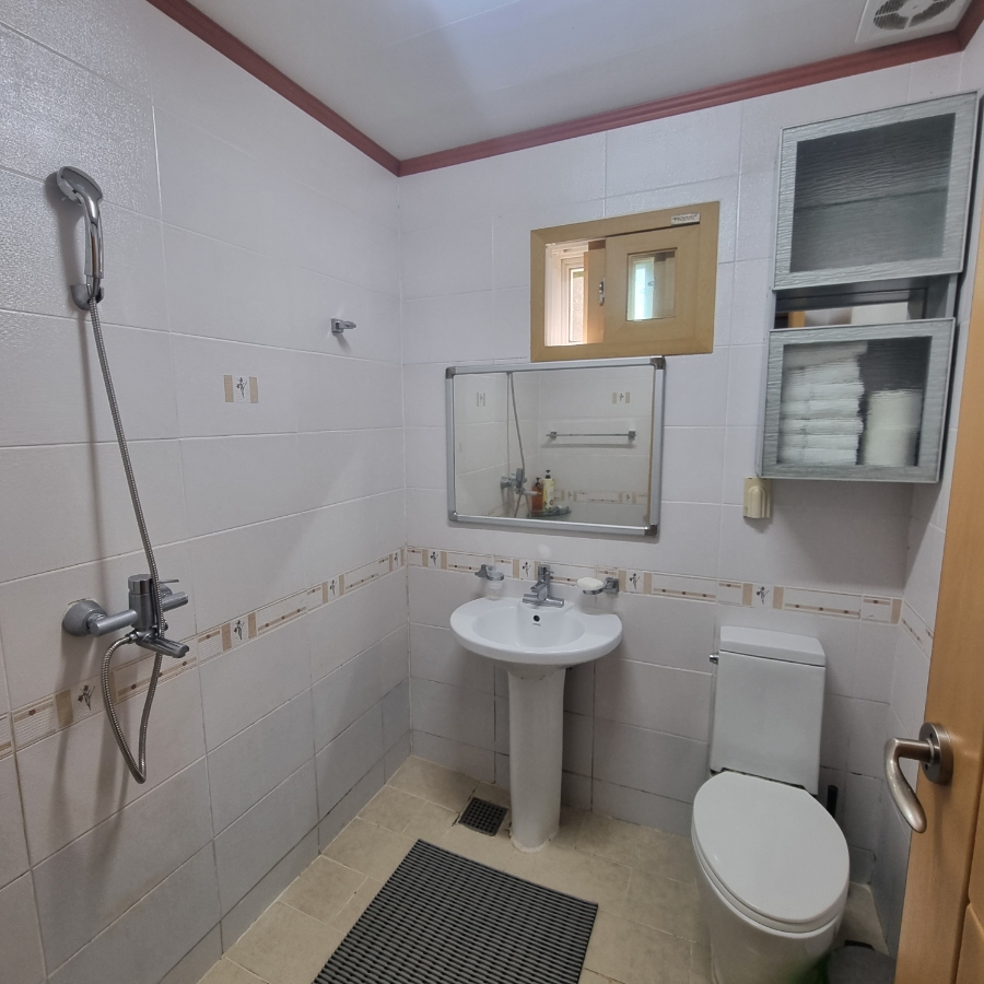 마로니에1970 이미지