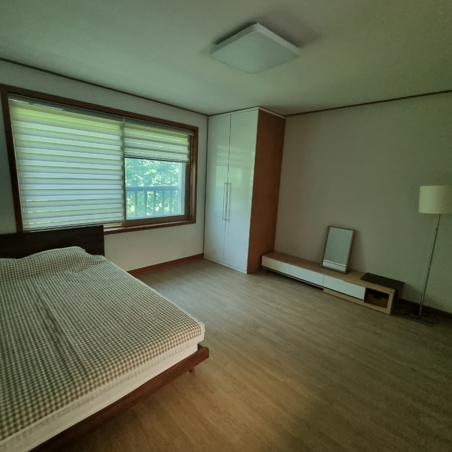 마로니에1970 이미지