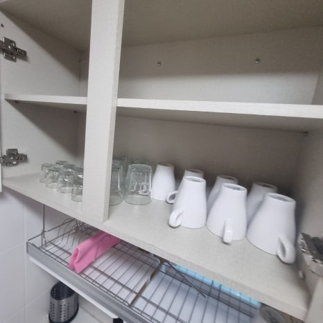 마로니에1970 이미지