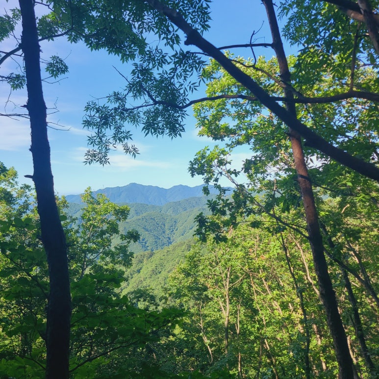 소백산국립공원 삼가탐방지원센터 이미지