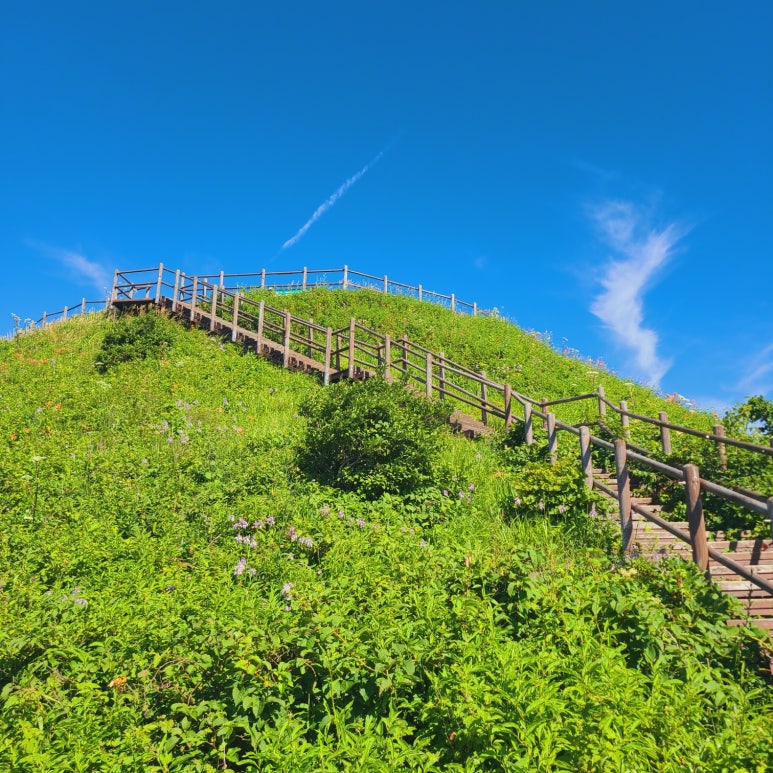 소백산국립공원 삼가탐방지원센터 이미지