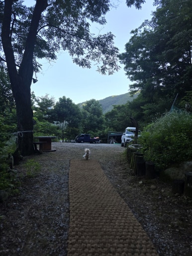 희방파크식당 이미지